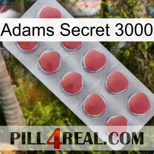 Adams Secret 3000 18.jpg